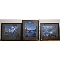 3 24.5" X 28.5" pictures