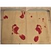 Image 3 : Rare 'blood bath' 68" X 68" shower curtain & 27" X 29" bath mat