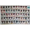 Image 1 : Huge lot 1987-88-89-90 Panini stickers NHL