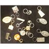 Image 1 : Assorted Key Chains (Saskatchewan)