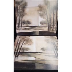 2 24 X 30 Prints on Cardboard with Frame