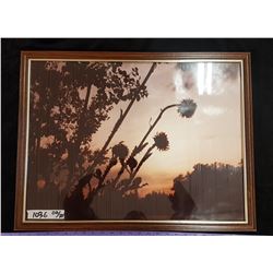 Framed Picture 20" X 26"