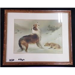 Framed Picture 17 " X 21.5"