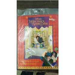 Disney's Hunchback of Notre Dame Shower Curtain
