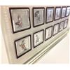 Image 1 : Electroplated Silver Square Coins With Rabbits, Within Display Plaque 