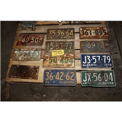 11 License Plates