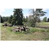Image 1 : 3 - LARGE PILES OF TIMBERS/POLES