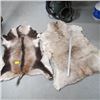 Image 1 : 2 ANIMAL HIDES