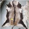 Image 2 : 2 ANIMAL HIDES
