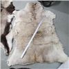 Image 3 : 2 ANIMAL HIDES