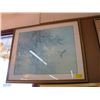 Image 1 : FRAMED PRINT OF A HUMMINGBIRD