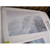Image 1 : UNFRAMED ROBERT BATEMAN PRINT, TITLED WHITE WOLVES, NO. 9891/13000, SIGNED