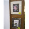 Image 1 : 2 SMALL FRAMED PRINTS, THE EAGLE BY SUE COLEMAN & A FLOWER