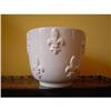 Image 1 : fleurs de lys planter #1476701
