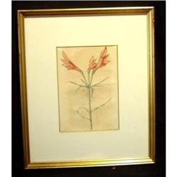 Antique Botanical Lilly Plant #1490055