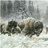 Image 2 : Larry Fanning, "Front Range Storm - Colorado Buffalo" Hand Signed and Numbered L