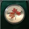 Image 2 : RARE Coloured Maple Leaf: Autumn - 2001 Canada $5 Fine Silver Coin .9999 SILVER