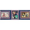 Image 2 : 1992 Dream Team (13) Jordan, Johnson Signed & Framed Card Display BAS