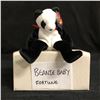 Image 1 : FORTUNE THE PANDA BEAR TY BEANIE BABY