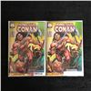 Image 1 : KING-SIZE CONAN COMIC BOOK LOT