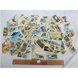 Lot of Mixed Red Rose , Blue Ribbon and other Collectors Cards