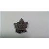 Image 2 : Canadian Army Cap Badge , C.W.A Pin & Canada Badge