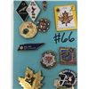 Image 6 : 66. Lot of carded lapel pins