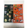 Image 1 : 67. Lot of carded lapel pins