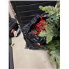 Image 13 : Shelving, cart, xmas decor, large black tote, suitcase. Large lot. Pickup at 11 am
