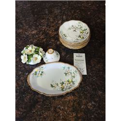 Royal Albert Bone China White Dogwood  & Royal Adderley Cat C