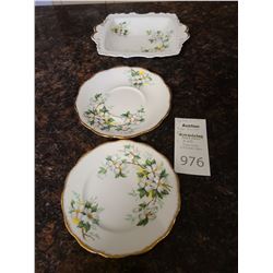 Royal Albert Bone China White Dogwood  Cat C