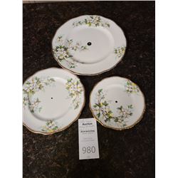Royal Albert Bone China White Dogwood  Cat C