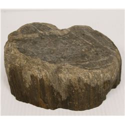 LARGE SECTION PETRIFIED WOOD