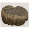 Image 1 : LARGE SECTION PETRIFIED WOOD