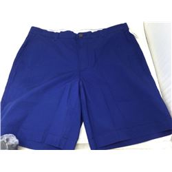 Royal Blue Shorts (36)