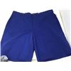 Image 1 : Royal Blue Shorts (36)