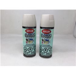 Krylon Dual Paint & Primer Spray Paint for Plastic (2x)