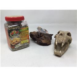 Terrarium Decor and Adult Bearded Dragon Food