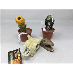 Lot of Terrarium Decor