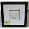 Image 1 : framed sand dollar souvenier