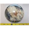 Image 1 : 1983 Milkweed pod expelling airborne seeds encased in lucite 6" diameter