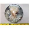 Image 2 : 1983 Milkweed pod expelling airborne seeds encased in lucite 6" diameter