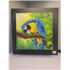 Image 1 : 14" X 14" 2008 original oil on canvas 'Jungle Macaw'