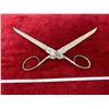 Image 3 : 1883 long shears (blade 6") overall length 11"