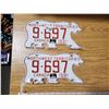 Image 1 : 1981 NWT LICENSE PLATE SET