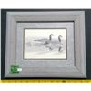 Image 1 : BERNIE BROWN CANADIAN GEESE