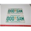 Image 1 : Sample Sask License Plates -Front & Back