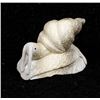 Image 1 : Zuni Carved Antler Snail Fetish by Ruben Najera