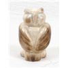 Image 1 : Zuni Fossilized Ivory Owl Fetish by B. Yatsattie