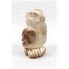Image 3 : Zuni Fossilized Ivory Owl Fetish by B. Yatsattie